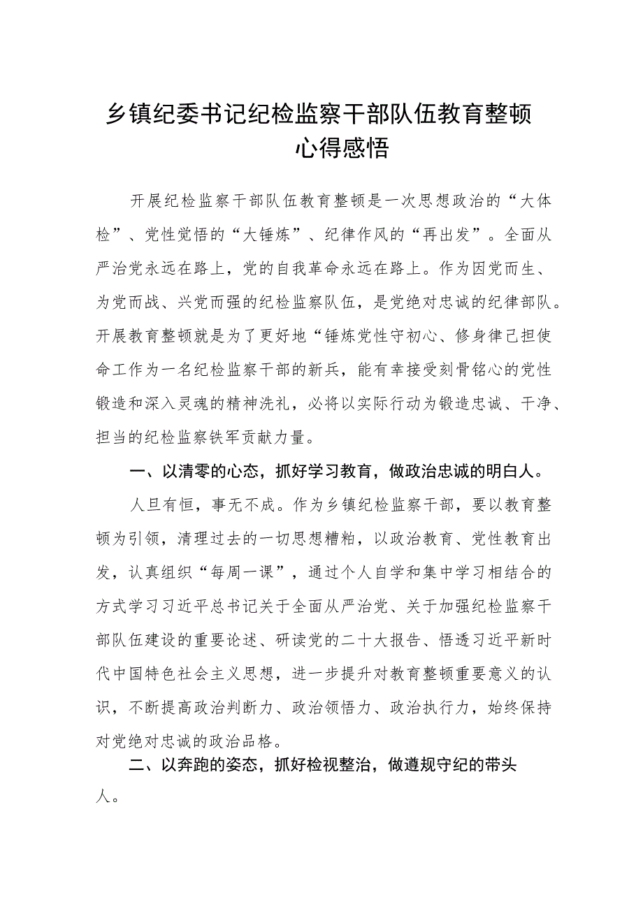 乡镇纪委书记纪检监察干部队伍教育整顿心得感悟（3篇）.docx_第1页