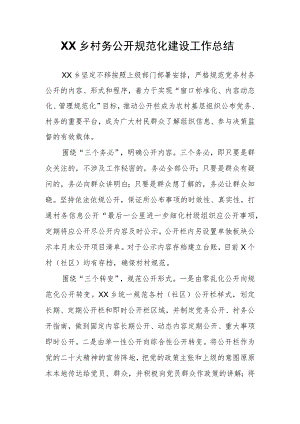 XX乡村务公开规范化建设工作总结.docx