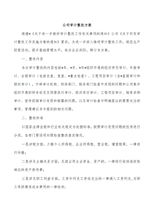 公司审计整改方案.docx