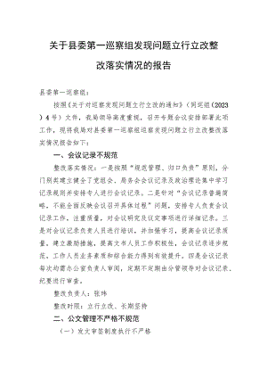 关于县委第一巡察组发现问题立行立改整改落实情况的报告(20230519).docx