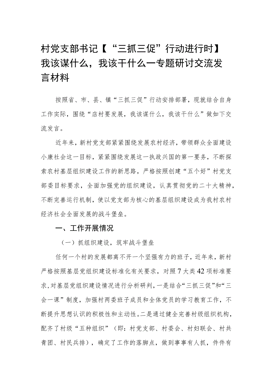 村党支部书记【“三抓三促”行动进行时】我该谋什么我该干什么—专题研讨交流发言材料（3篇）.docx_第1页