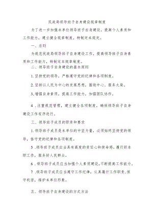 民政局领导班子自身建设规章制度.docx