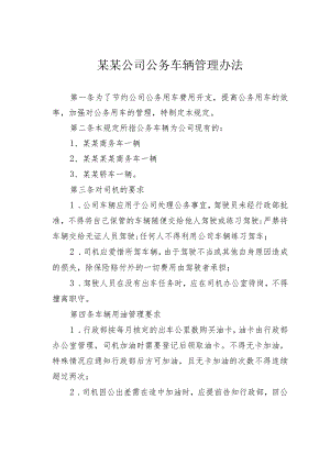 某某公司公务车辆管理办法.docx