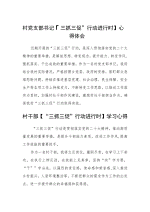 村党支部书记【“三抓三促”行动进行时】心得体会范文(参考三篇).docx