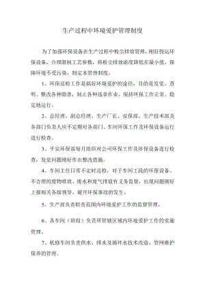 生产过程中环境保护管理制度分析.docx