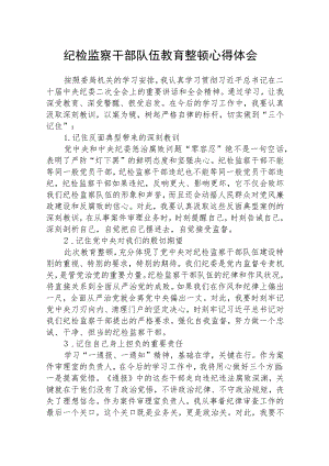 纪检监察干部队伍教育整顿学习心得体会精选(三篇详细版).docx