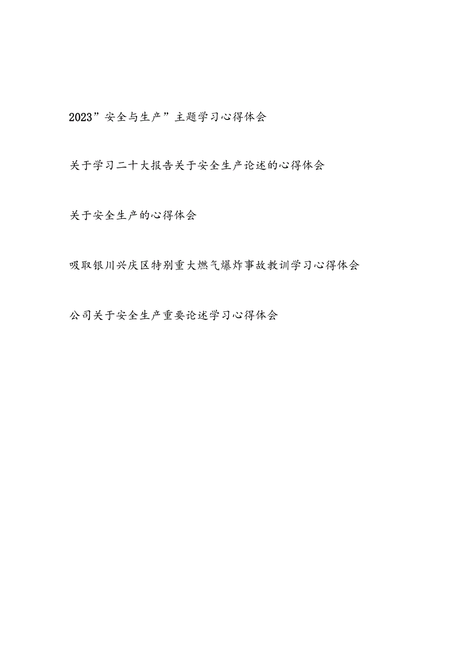 2023年“安全与生产”主题学习心得体会研讨发言5篇.docx_第1页