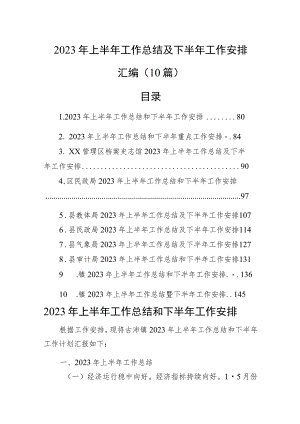 2023年上半年工作总结及下半年工作安排汇编（10篇）.docx