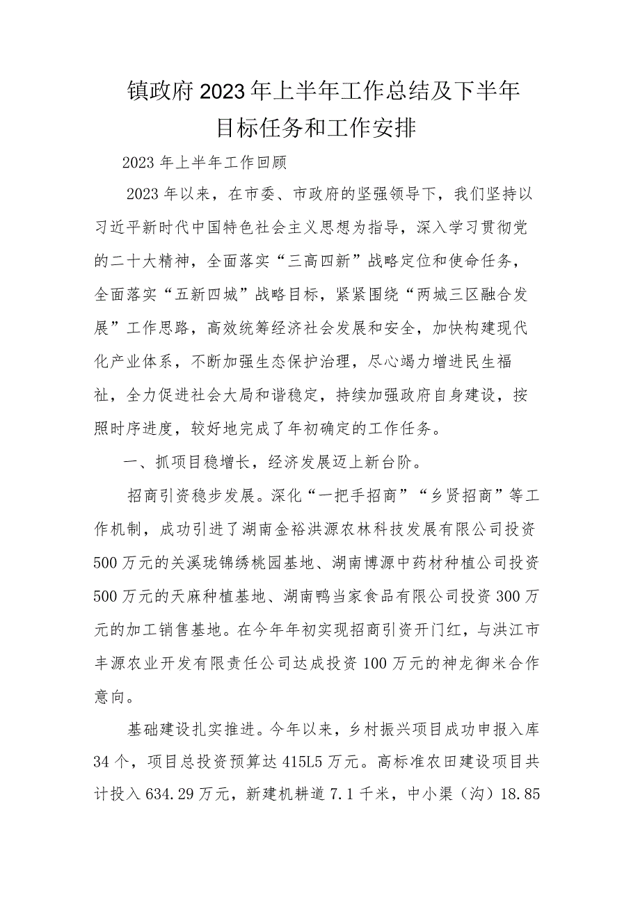 镇政府2023年上半年工作总结及下半年目标任务和工作安排.docx_第1页