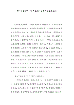 青年干部学习“千万工程”心得体会汇篇范文.docx