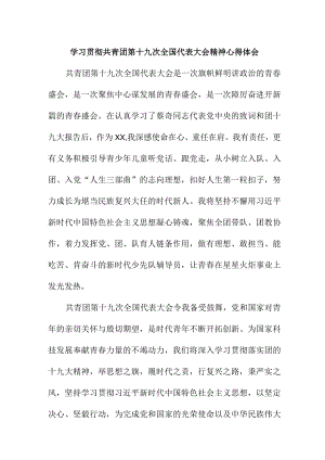 青年干部学习贯彻共青团第十九次全国代表大会精神心得体会 （5份）.docx