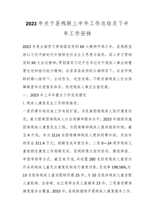 2023年关于县残联上半年工作总结及下半年工作安排.docx