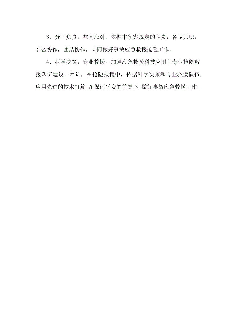 非煤矿山专项应急救援预案.docx_第3页