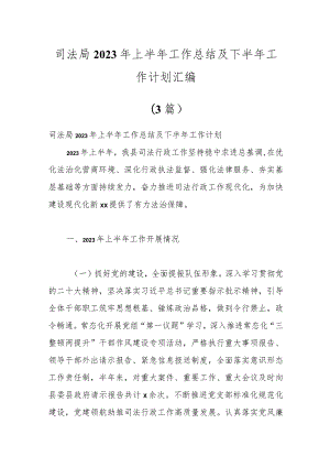 （3篇）司法局2023年上半年工作总结及下半年工作计划汇编.docx