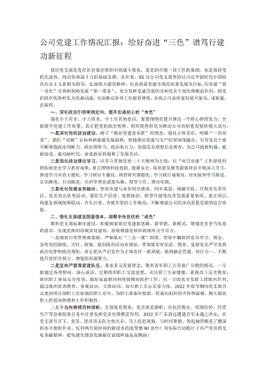 公司党建工作情况汇报：绘好奋进“三色”谱 笃行建功新征程.docx