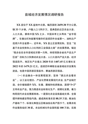 县域经济发展情况调研报告.docx