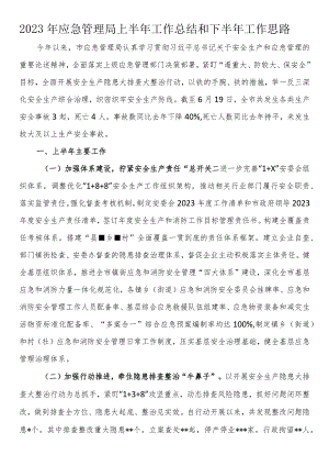 2023年应急管理局上半年工作总结和下半年工作思路.docx