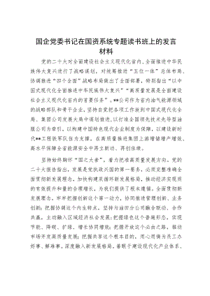 国企党委书记在国资系统专题读书班上的发言材料.docx