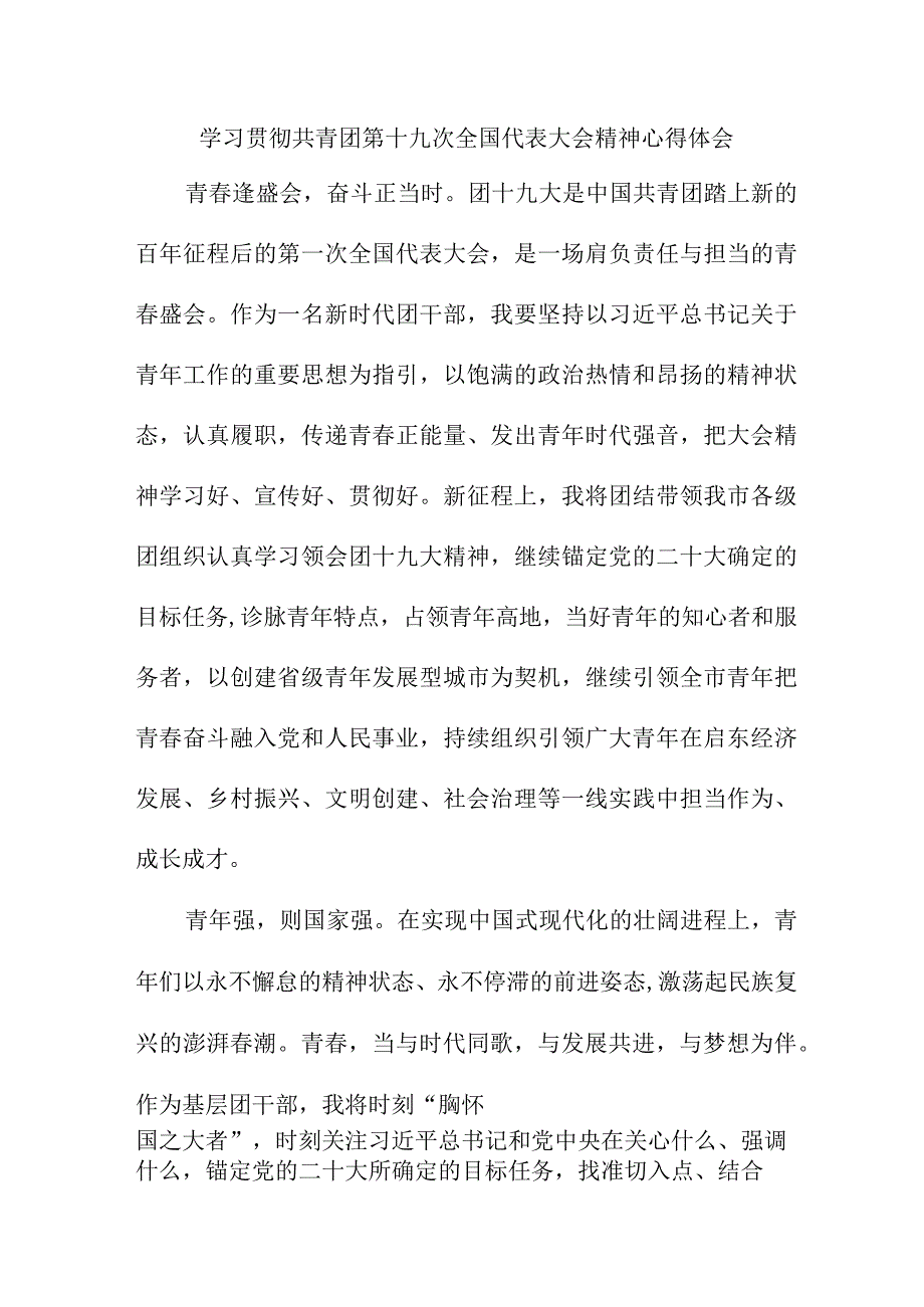 青年干部学习贯彻共青团第十九次全国代表大会精神心得体会 （合计5份）.docx_第1页