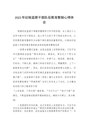 2023年纪检监察干部队伍教育整顿心得体会研讨发言材料七篇.docx