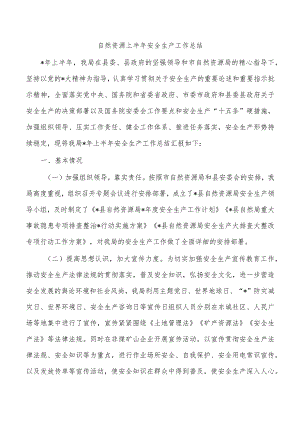 自然资源上半年安全生产工作总结.docx