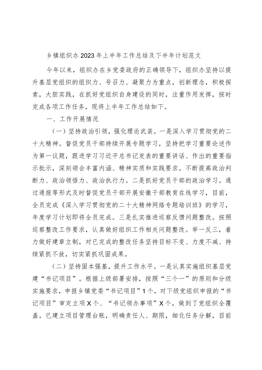 乡镇街道组织党建办公室2023年上半年工作总结及下半年计划（汇报报告）.docx_第1页