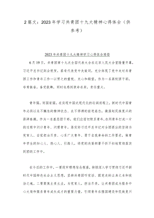 2篇文：2023年学习共青团十九大精神心得体会（供参考）.docx