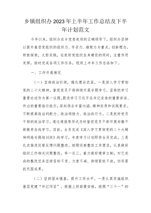 乡镇组织办2023年上半年工作总结及下半年计划范文.docx