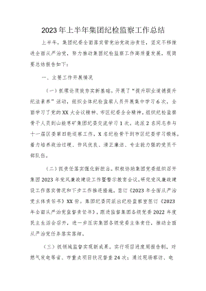 2023年上半年集团纪检监察工作总结.docx