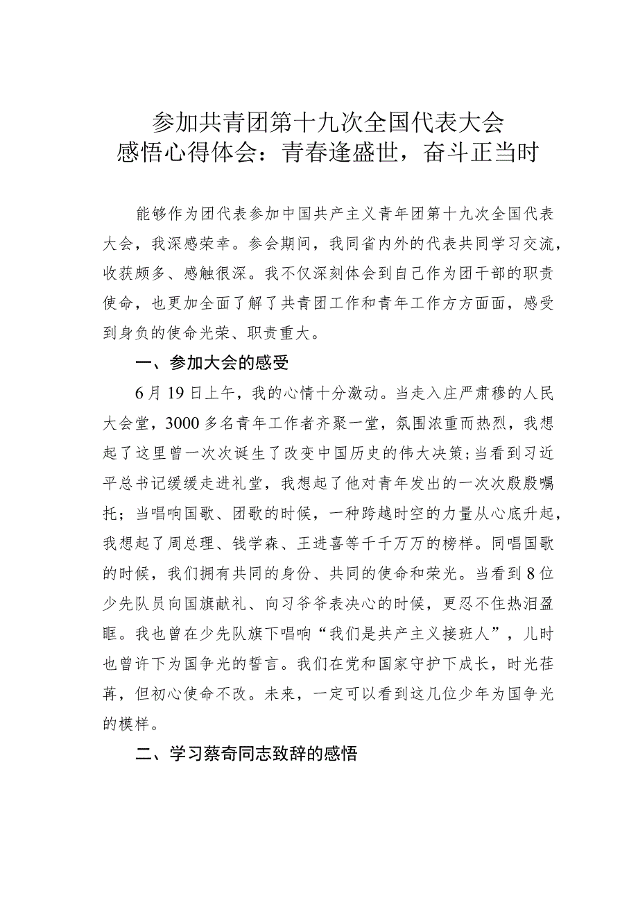 参加共青团第十九次全国代表大会感悟心得体会：青春逢盛世奋斗正当时.docx_第1页