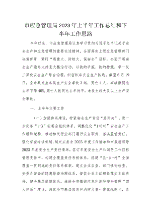 市应急管理局2023年上半年工作总结和下半年工作思路.docx