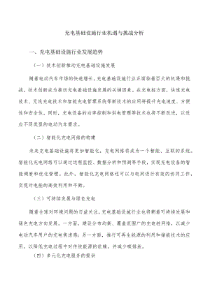 充电基础设施行业机遇与挑战分析.docx