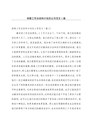 销售工作总结和计划怎么写范文5篇.docx