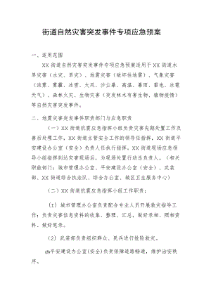 街道自然灾害突发事件专项应急预案.docx