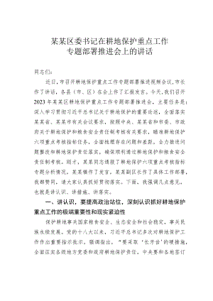 某某区委书记在耕地保护重点工作专题部署推进会上的讲话.docx