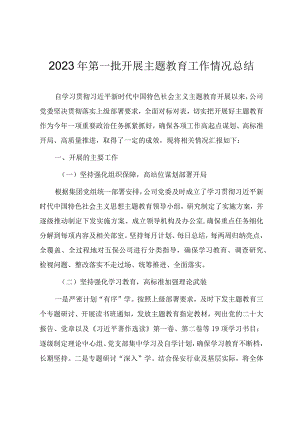 2023年第一批开展主题教育工作情况总结.docx