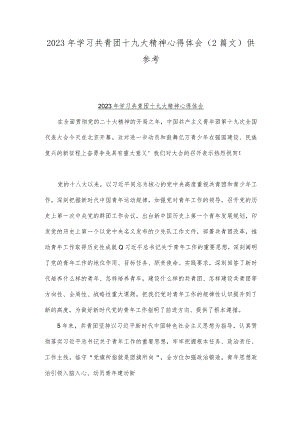 2023年学习共青团十九大精神心得体会（2篇文）供参考.docx