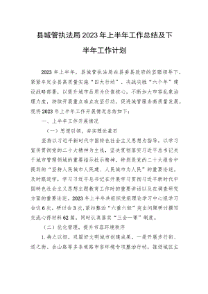 县城管执法局2023年上半年工作总结及下半年工作计划(20230628）.docx