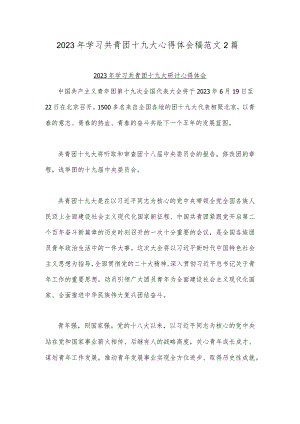 2023年学习共青团十九大心得体会稿范文2篇.docx