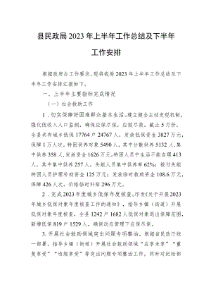 县民政局2023年上半年工作总结及下半年工作安排（20230619）.docx