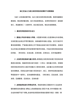 徐汇区加大力度支持民间投资发展若干政策措施.docx