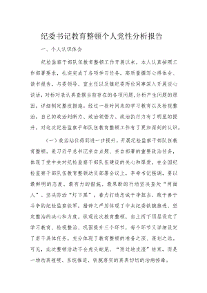 纪委书记教育整顿个人党性分析报告.docx