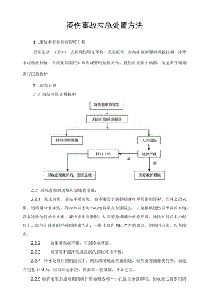 烫伤事故应急处置方法范文.docx