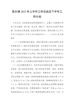 某乡镇2023年上半年工作总结及下半年工作计划.docx