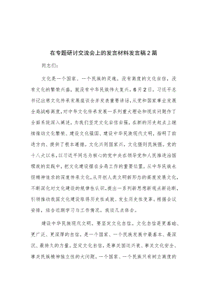 在专题研讨交流会上的发言材料发言稿2篇.docx