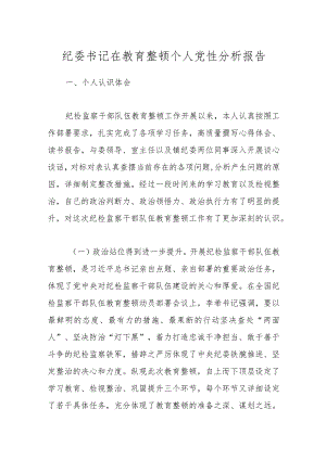 纪委书记在教育整顿个人党性分析报告.docx