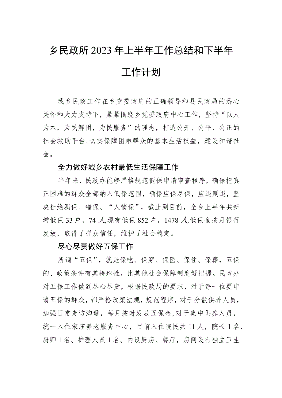 乡民政所2023年上半年工作总结和下半年工作计划（20230629）.docx_第1页