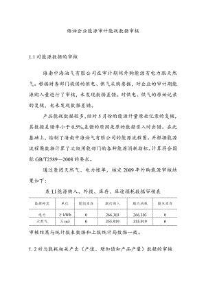 炼油企业能源审计能耗数据审核.docx