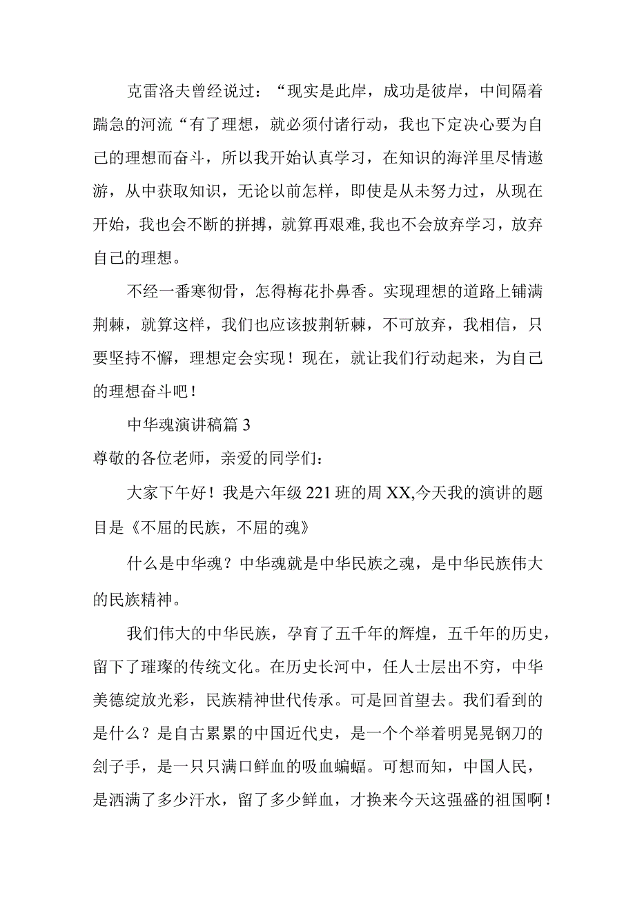 2023年整理-中华魂演讲稿范文锦集10篇.docx_第3页