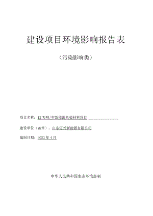 年产12 万吨新能源负极材料项目环境影响报告表.docx